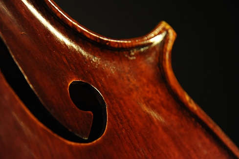 Prokop Cello �}�W�R MAGICO