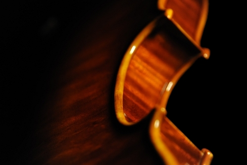 �o�C�I���� Mathilde Palayer �}�W�R MAGICO�@�C�^���A