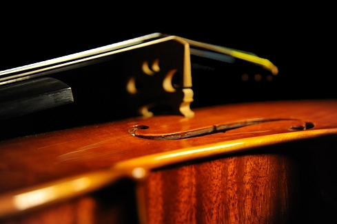 �o�C�I���� Mathilde Palayer �}�W�R MAGICO�@�C�^���A