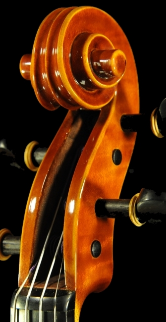 �o�C�I���� Mathilde Palayer �}�W�R MAGICO�@�C�^���A