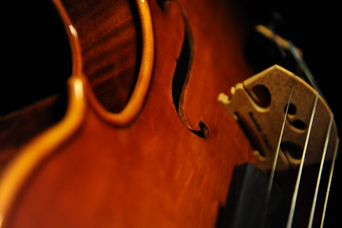 Mathilde Palayer �p���� �}�`���_ �o�C�I���� �}�W�R �C�^���A