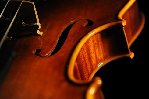 �o�C�I���� Mathilde Palayer �}�W�R MAGICO�@�C�^���A