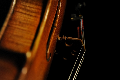 �o�C�I���� Violin Cremona Johansson