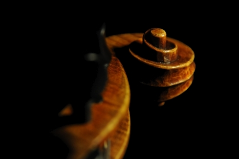 �o�C�I���� �C�F���c ���n���\�� �N�����i �C�^���A