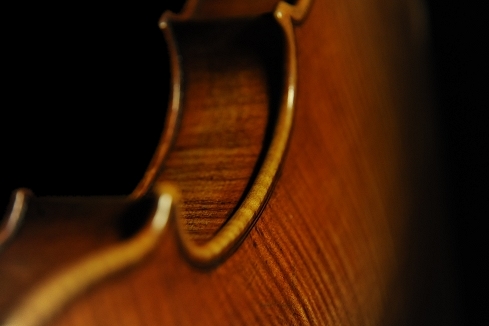 �o�C�I���� �C�F���c ���n���\�� �N�����i �C�^���A