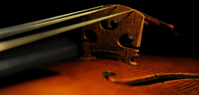 �o�C�I���� �C�F���c ���n���\�� �N�����i �C�^���A