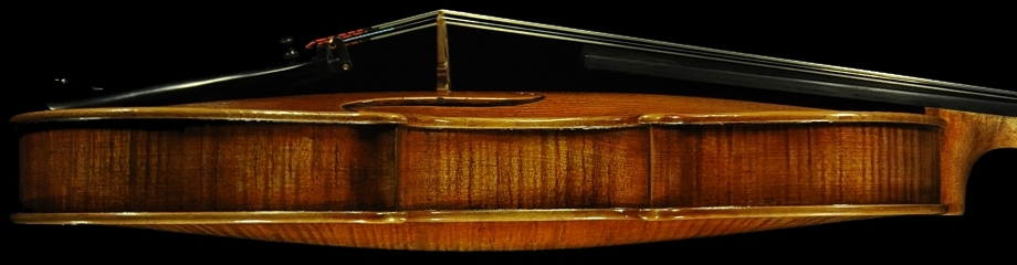 �o�C�I���� �C�^���A �}�W�R