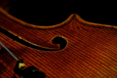 �o�C�I���� Violin Cremona Johansson