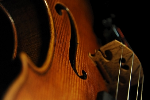 �o�C�I���� �C�F���c ���n���\�� �N�����i �C�^���A