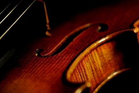 �o�C�I���� Violin Cremona Johansson