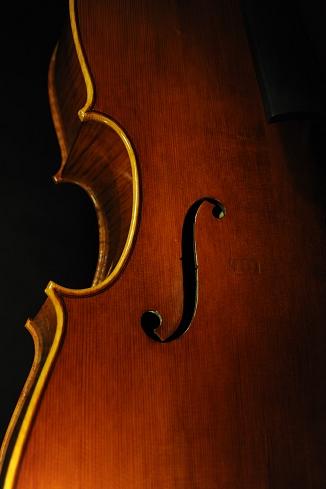 �`�F�� �����^�j���[�i �C�^���A �N�����i �}�W�R