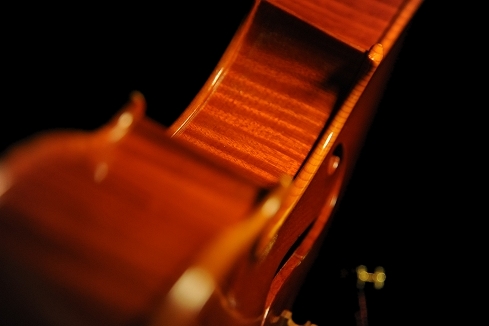 �r�I�� �A�W�i�[�� �T���h�� �N�����i