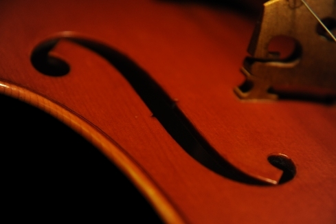 �r�I�� �A�W�i�[�� �T���h�� �N�����i