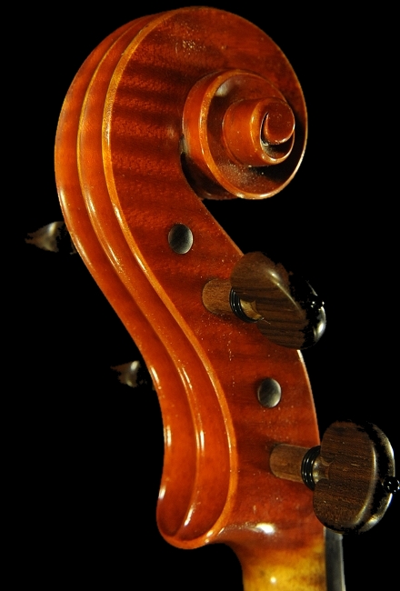 Sandoro Asinari fine Viola ITALY