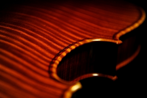 Violin Cremona MAGICO ITALIA