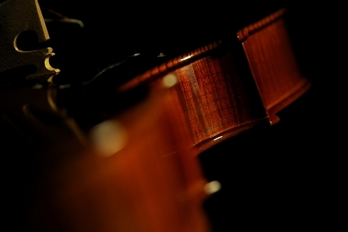 �o�C�I���� �N�����i �C�^���A �}�W�R