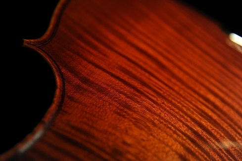 �o�C�I���� �N�����i �C�^���A �}�W�R