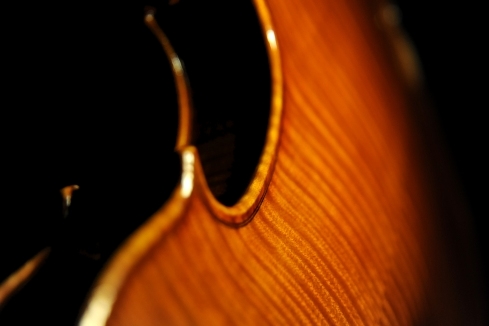 �o�C�I���� �N�����i �C�^���A Uchiyama