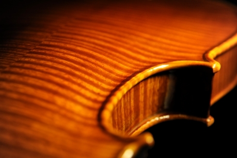 �}�W�R �N�����i �C�^���A MAGICO