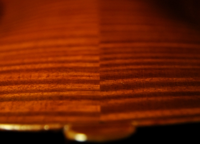 �}�W�R �N�����i �C�^���A MAGICO