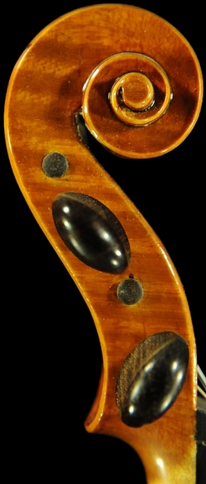 �o�C�I���� ���R���s �N�����i �C�^���A