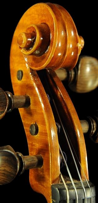 �o�C�I���� �N�����i �C�^���A �}�W�R