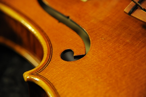 ���� �o�C�I���� �C�^���A