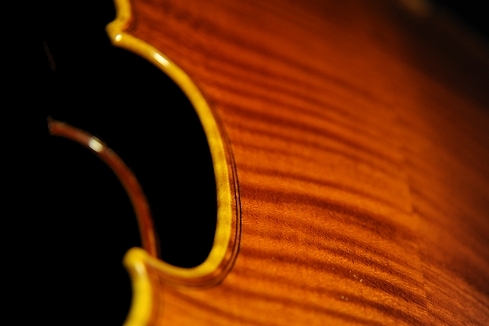 ���� �o�C�I���� �}�W�R �C�^���A