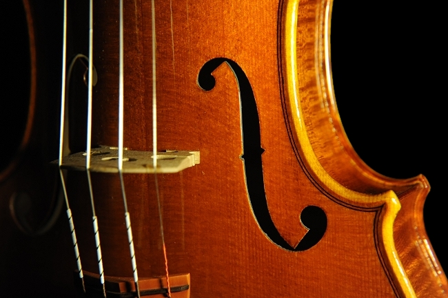 ���� �o�C�I���� �}�W�R �C�^���A