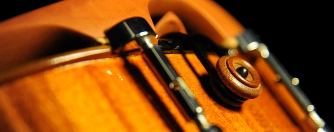 ���� �o�C�I���� MAGICO �t�����X �C�^���A