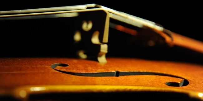 ���� �o�C�I���� �}�W�R �C�^���A