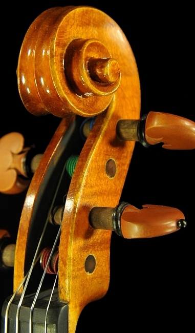 ���� �o�C�I���� �t�����X �C�^���A