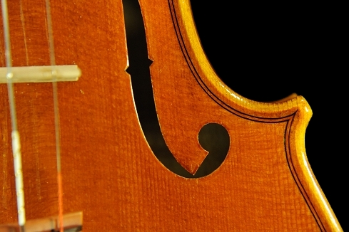 ���� �o�C�I���� �C�^���A