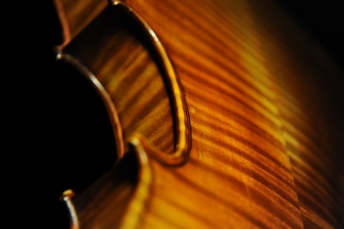 ���� �o�C�I���� �I�[���h