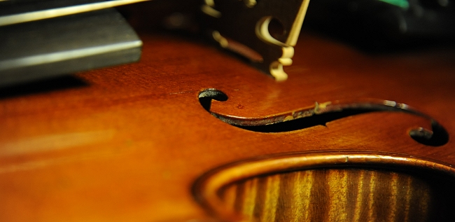 ���� �o�C�I���� �t�����X