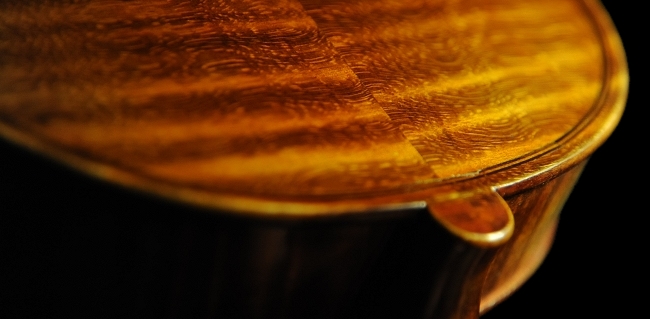 ���� �o�C�I���� �I�[���h