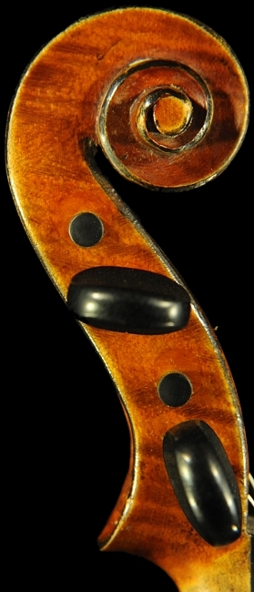 ���� �o�C�I���� �t�����X