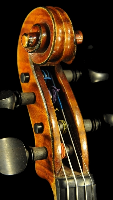 ���� �o�C�I���� �I�[���h