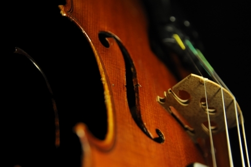 ���� �o�C�I���� �t�����X