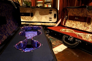 NEGRI Violin Case Prince