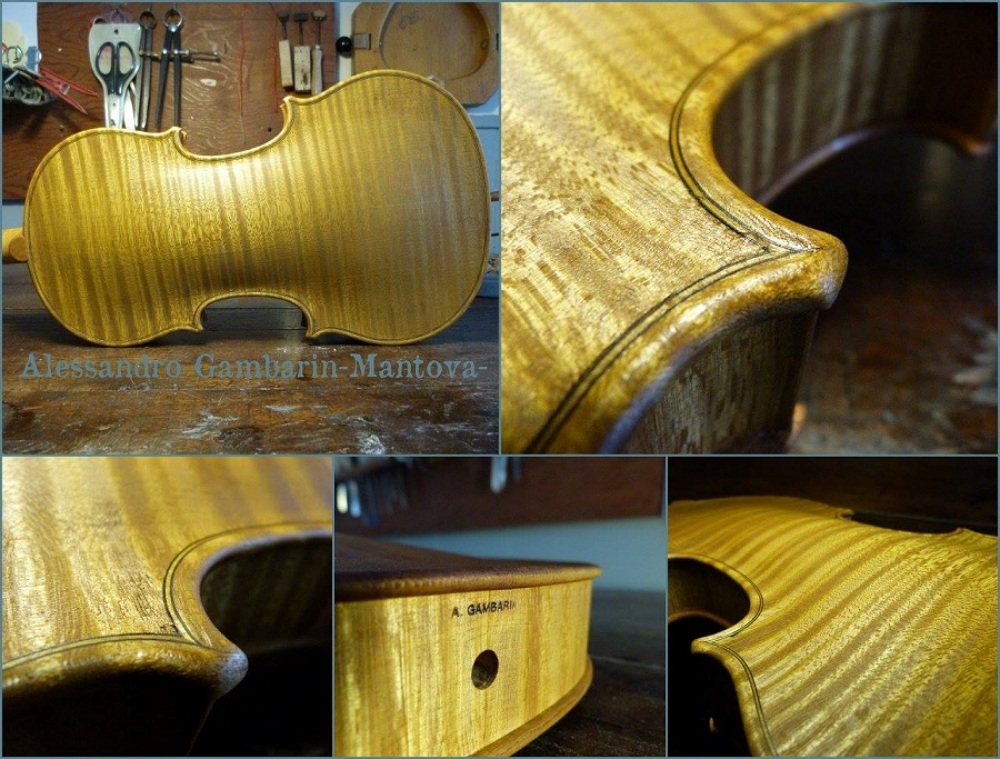 �o�C�I���� �C�^���A �}�W�R