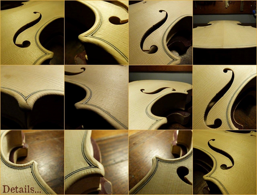 �o�C�I���� �C�^���A �}�W�R