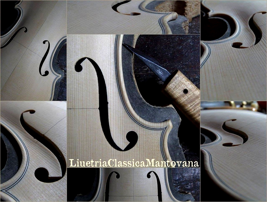 �o�C�I���� �C�^���A �}�W�R