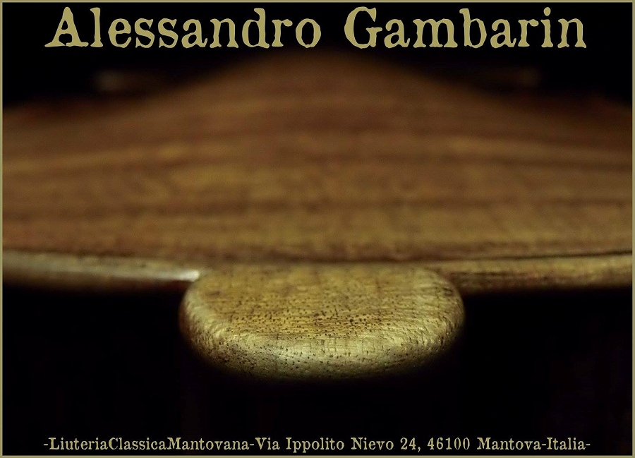 �o�C�I���� �C�^���A �K���o����