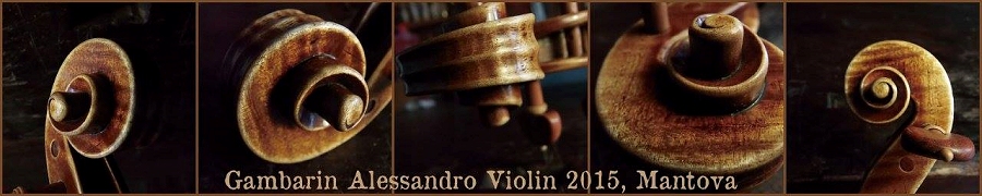 �o�C�I���� �C�^���A �K���o����