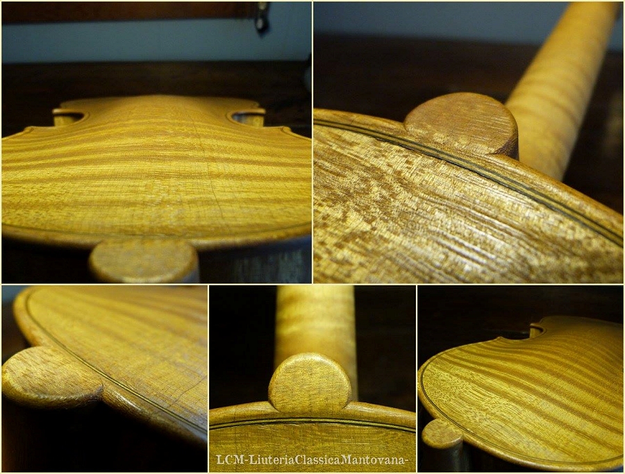 �o�C�I���� �C�^���A �K���o����