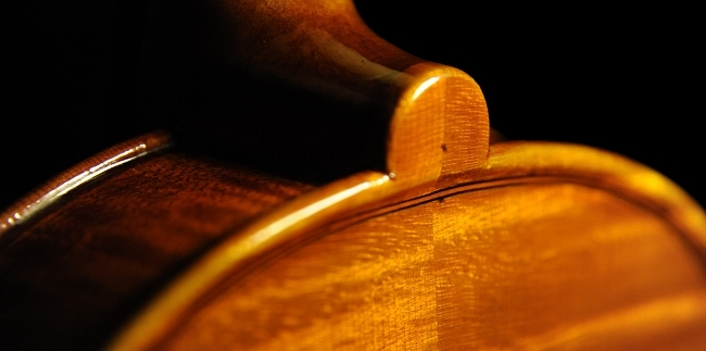 �o�C�I���� �C�^���A �}�W�R