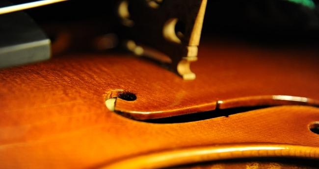 Violin MAGICO ITALY