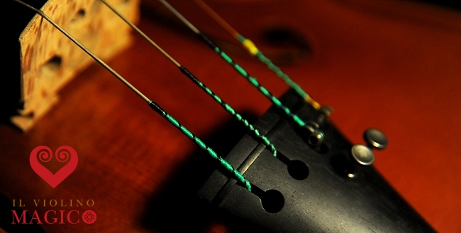 Violin MAGICO ITALY