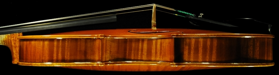 �o�C�I���� �C�^���A �}�W�R